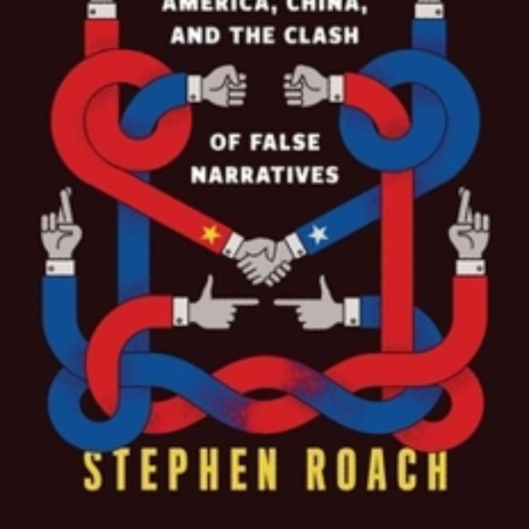 ACCIDENTAL CONFLICT HARDBACK BY STEPHEN ROACH - Picture 2 of 3